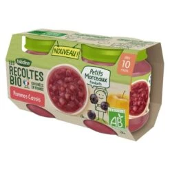 Blédina Les Récoltes Bio, Petits Pots Pour Bébé Bio Dès 10 Mois, Pommes Cassis Petits Morceaux, 2x130g -Magasin De Produits Pour Bébés bledina les recoltes bio pommes cassis petits morc e61d