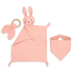 Cadeau Naissance - SET Cadeaux Bébé Doudou, Bavoir, Anneau De Dentition Cadeau Naissance Bébé Fille Et Garçon Rose