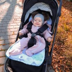 Coussin De Siège De Poussette 75 X 35 Cm - Coussin Pour Réducteur Siège Auto Pour De Enfant -Minky Hérisson Bleu -Magasin De Produits Pour Bébés coussin de siege de poussette 75 x 35 cm coussin 7dd6