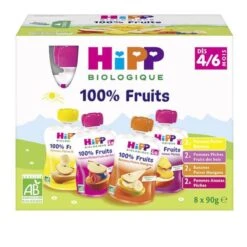 Hipp Bio 100% Fruits Gourde Multipack 4 Variétés +4m 8 X 90g