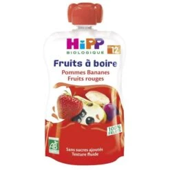 Hipp Bio Fruits à Boire Gourde Pommes Bananes Fruits Rouges +12m 120ml